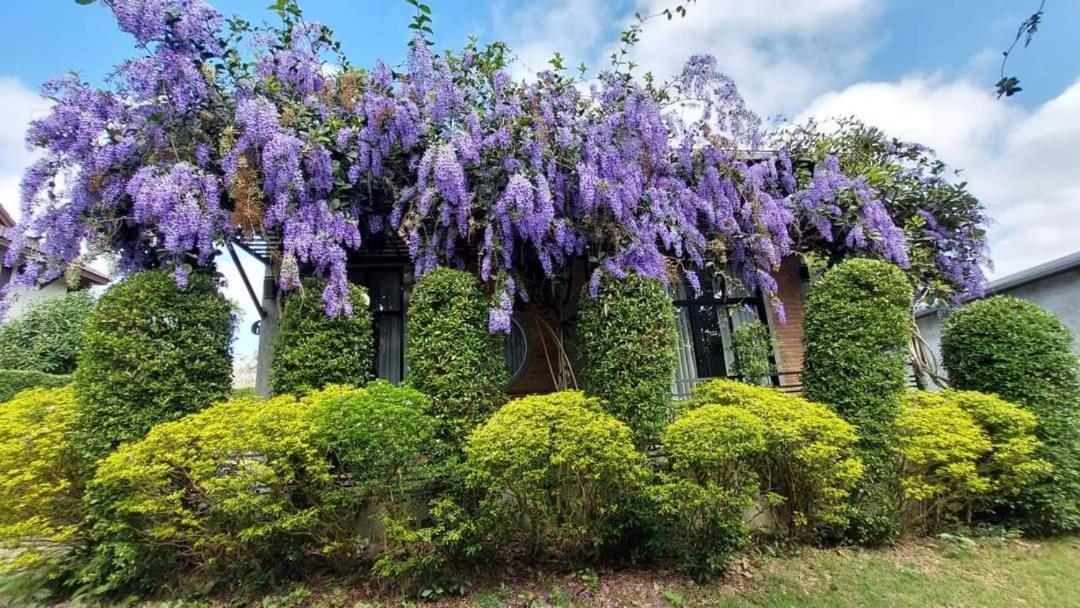 Casa Foresta Nan Eksteriør bilde
